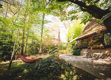 Chalet confortable (6p) dans la forêt en Belgique - 3