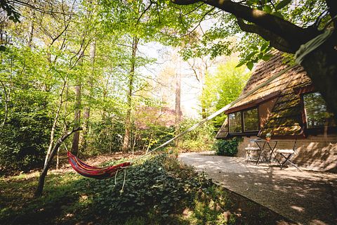 Chalet confortable (6p) dans la forêt en Belgique - 3