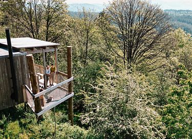 Boomhut in de Franse Elzas  - 3