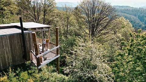 Boomhut in de Franse Elzas  - 3