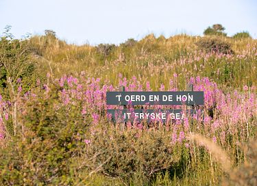 Studio confortable à Nes on Ameland - 12
