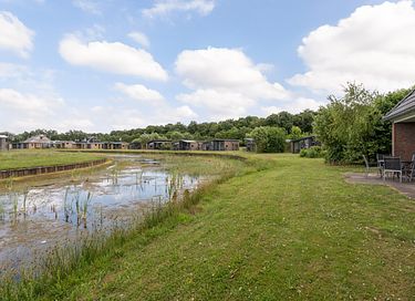 Animal friendly bungalow in Drenthe - 17