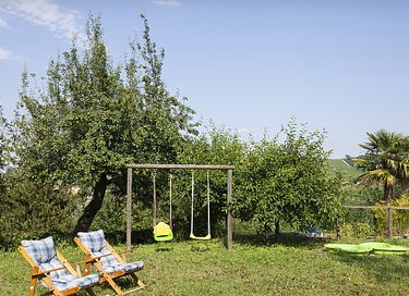 Logement de vacances au milieu des vignobles - 7
