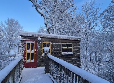 Tree house with balcony within nature - 27