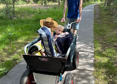 Ruim vakantiehuis in Veluwse bossen - 32