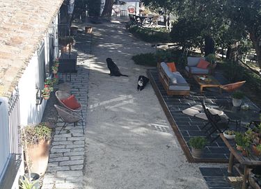 Gästehaus mit Meerblick, Küste von Barcelona - 28