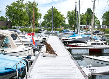 Luxuriöses Ferienhaus direkt am Wasser - 23