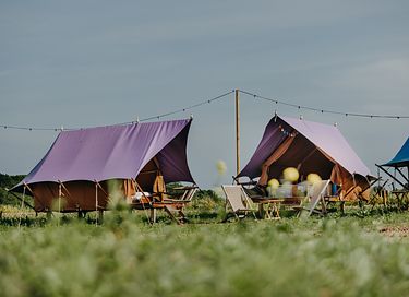 Uniek kamperen op Festival-achtige glamping  - 11