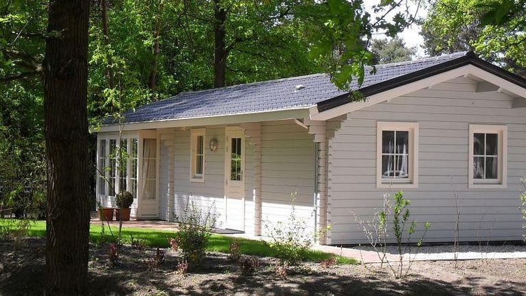 Chalet finlandais dans un environnement naturel - 1