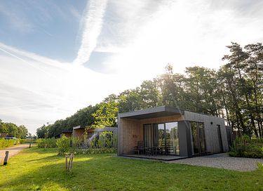 Ferienwohnung mit Sauna in Overijssel (2p) - 10