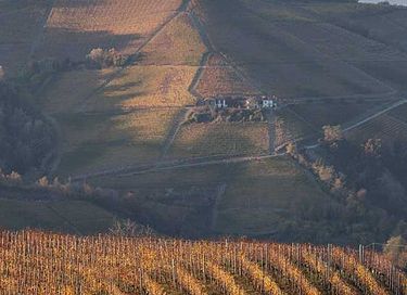 ferienwohnungen mit blick auf die weinberge - 37