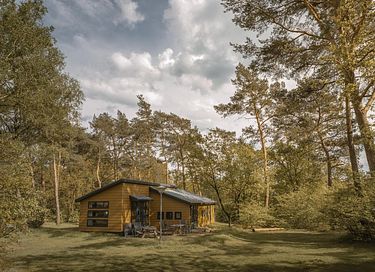 Bungalow in de natuur in Overijssel - 2