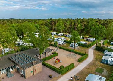 Glamping tent for 2 on the Veluwe - 11
