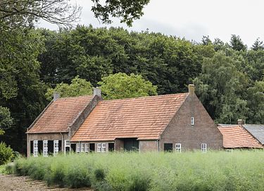 Schönes Ferienhaus in grüner Umgebung - 36