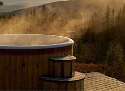 Avec jacuzzi / bain à remous