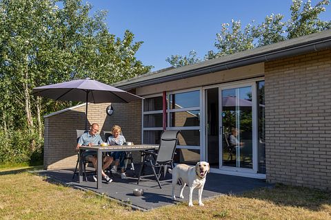 Vakantiehuis op Ameland voor hondenbezitters - 3