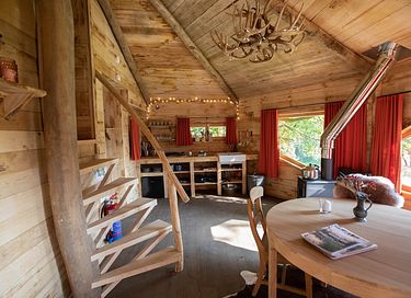 Prachtige boomhut in de Belgische natuur - 5