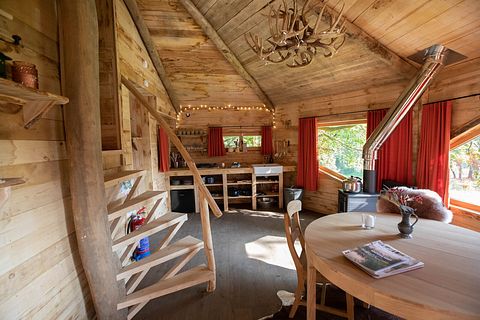 Prachtige boomhut in de Belgische natuur - 5