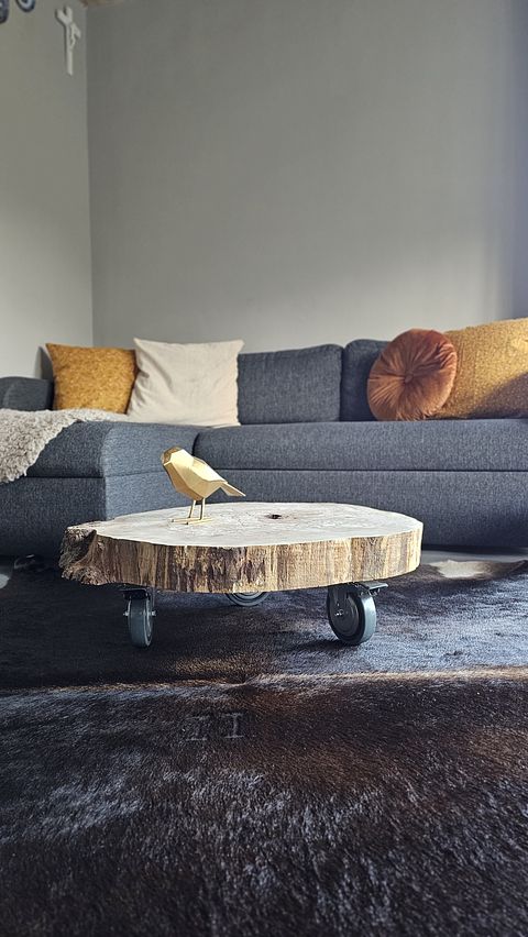 Heerlijk Tiny House aan de bosrand - 2