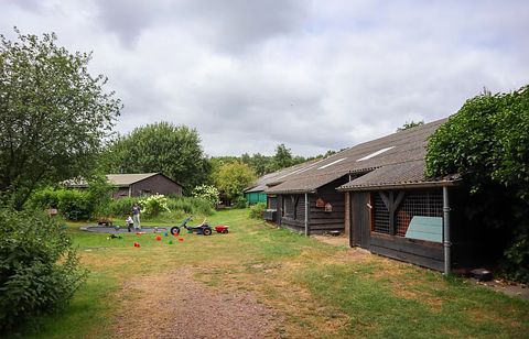 Tent cabin on a farm in Drenthe - 2