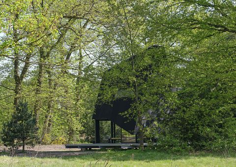 Außergewöhnliches Landhaus in der Mitte der Veluwe - 3
