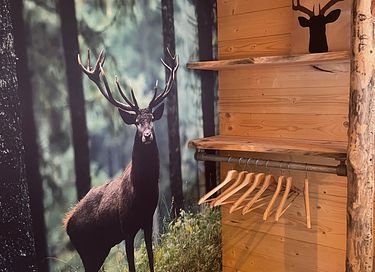 Tough luxury Scandinavian forest lodge on Veluwe - 18