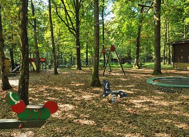 Vakantiechalet in de Belgische natuur - 15