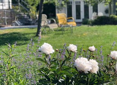 Einzigartiges B&B in der Randstad - 12