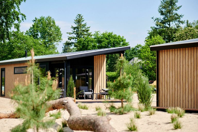 T tiny house (4p) on the Veluwe - 1