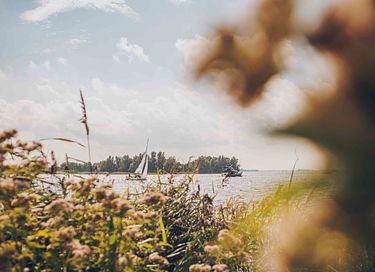 Exclusief genieten in Friesland met uitzicht - 38