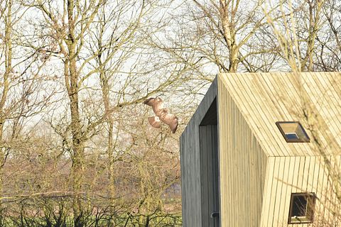 Rustgevende trekkershut (tiny house)  - 4
