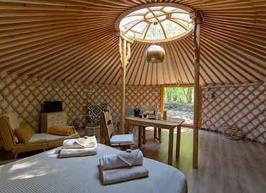 Knusse yurt vlakbij Drents natuurgebied - 5