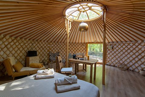 Knusse yurt vlakbij Drents natuurgebied - 5