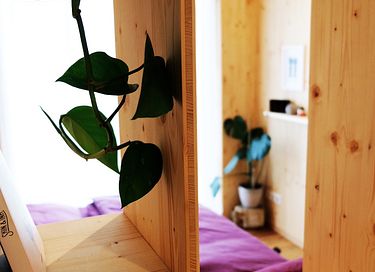 Nachhaltiges Tiny House in waldreicher Umgebung - 11