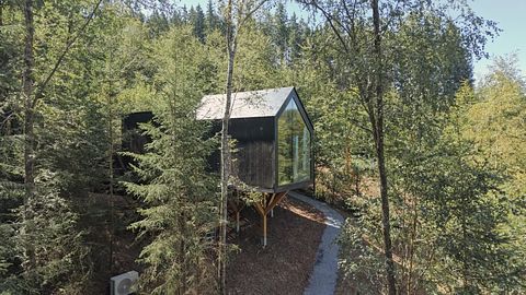 A unique overnight stay among the trees - 2