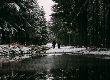 Boshuisje voor 8 personen in de Ardennen - 20