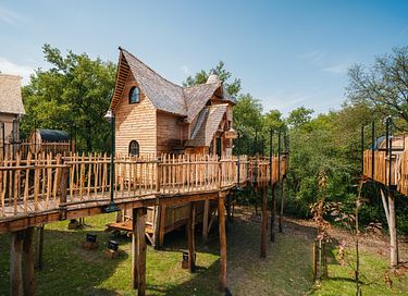 Spend the night among the treetops