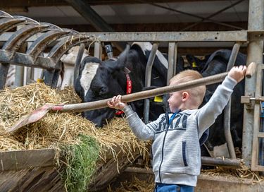  Glamping à la ferme laitière et animale - 15