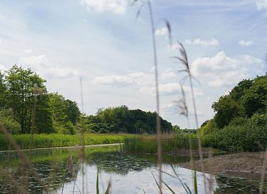 Glampingzelt am Wasser für 5 Personen - 14