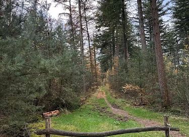 Nature cottage Veluwe - 22