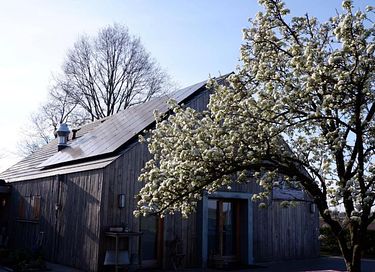 Knusse B&B in Drenthe met zwembad  - 12