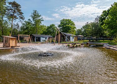 Tiny House voor 4 personen in Gelderland - 13