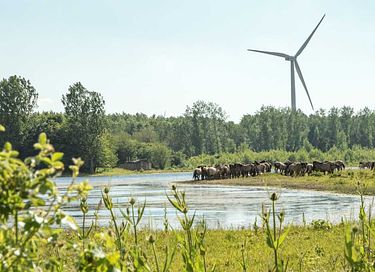 Bijzonder glazen huisje in midden Nederland - 23