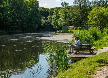 Kleurrijke vakantiewoning vlakbij Amsterdam - 8