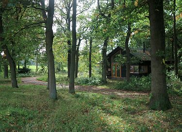 Houten vakantiehuis in het bos op de Veluwe - 2