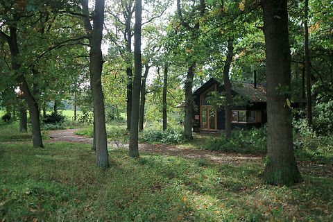 Houten vakantiehuis in het bos op de Veluwe - 2