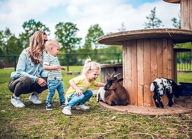 Kleurig chalet voor 4 personen in Gelderland - 23