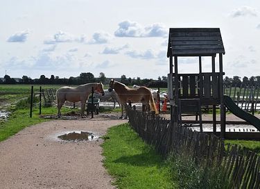 Zelt-Ferienhaus mit eigener Dusche in Zeeland - 31