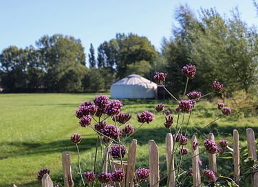 Luxe yurt met houtkachel en privé sanitair - 28