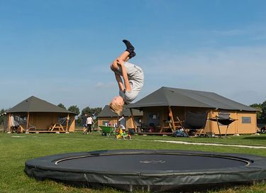 Glamping à la ferme des Alpagas - 27